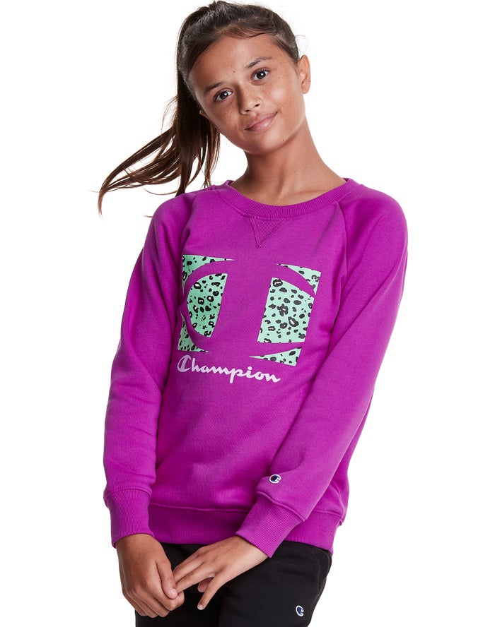 Champion Girls Hoodie NZ - Fleece Raglan Crew Leopard Knockout Logo Purple ( 4852-MINLD )